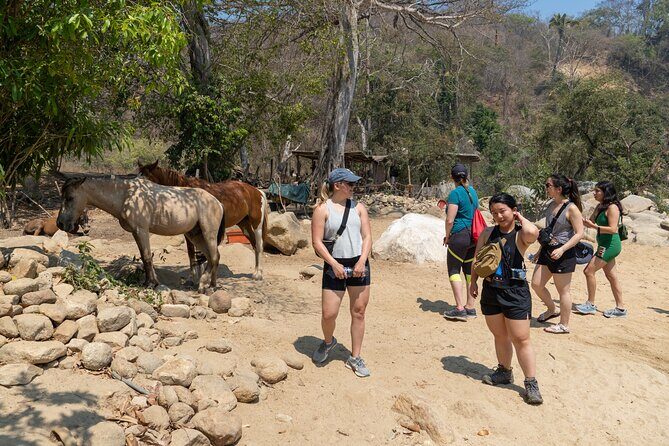 Waterfall in the jungle of Puerto Vallarta - How Hard Is It, Really? Weather, Water, and Safety