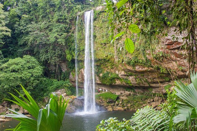 Waterfalls Agua Azul and Misol-ha - Swimming and Water Color: What to Expect Without Getting Fooled