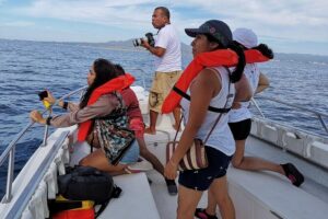 Whale Encounter Puerto Vallarta - Whale watching in a small shaded fast boat: close encounters with less fuss