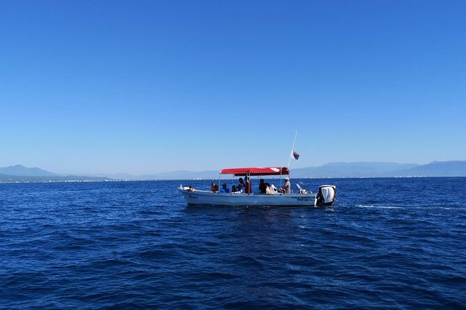 Whale Encounter Puerto Vallarta - Conservation touches: permits, wrist bands, and photo ID involvement