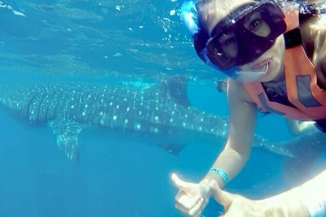 Whale Shark Adventure in Isla Mujeres and Cancun - The boat ride: how long, how rough, and how to save your stomach