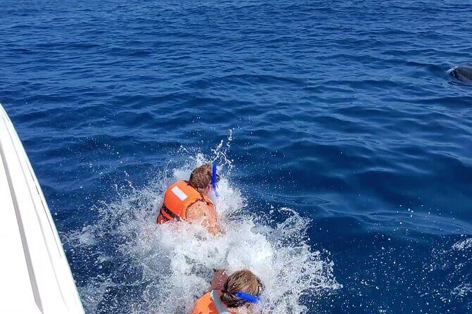 Whale Shark Adventure in Isla Mujeres and Cancun - Isla Mujeres time on the way back: snorkeling plus ceviche lunch