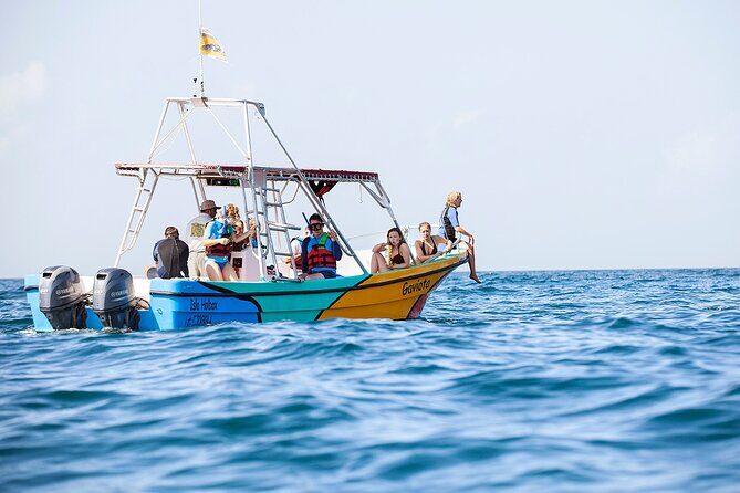 Whale Shark and Snorkeling Adventure from Isla Holbox - Cabo Catoche Snorkel Stop: Rays and Fish When the Sharks Move On
