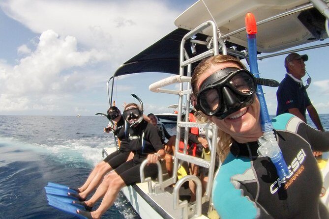 Whale shark encounter Private tour - swim with whale shark cancun - The Wildlife Search: Watching for Mantas, Turtles, and Dolphins