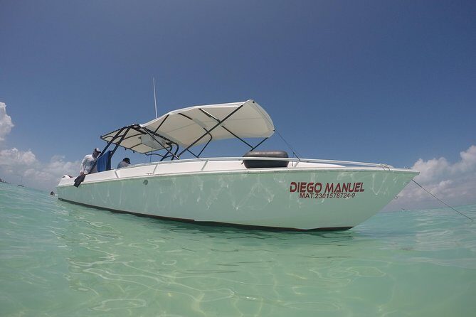 Whale shark encounter Private tour - swim with whale shark cancun - What You’ll See Besides Whale Sharks