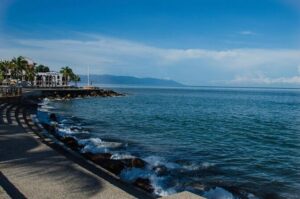 Whale-Shark Snorkeling Excursion to La Paz - Finding the Habitat: 3 Hours of Boat Time With Purpose