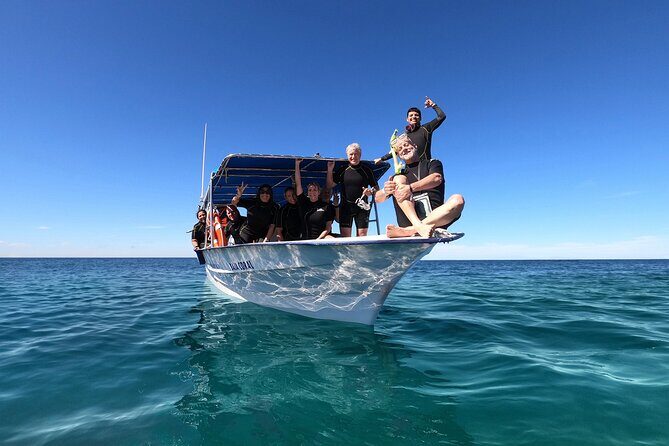 Whale Shark Snorkeling Experience from Cancun and Riviera Maya - The Morning Start: Timing, Pickup, and What to Expect