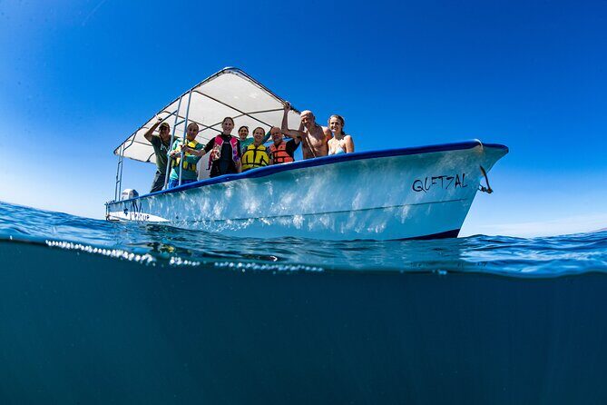 Whale Shark snorkeling tour in a reduced group with local marine biologist - Key highlights you’ll actually care about