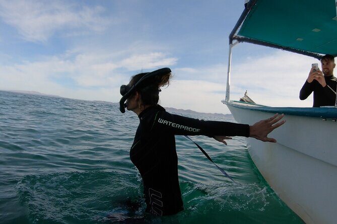 Whale Shark Swimming Adventure: Small Group with Marine Biologist - Eco Migrations Team and Marine Biology Briefing (Tomas, Erin, JJ)