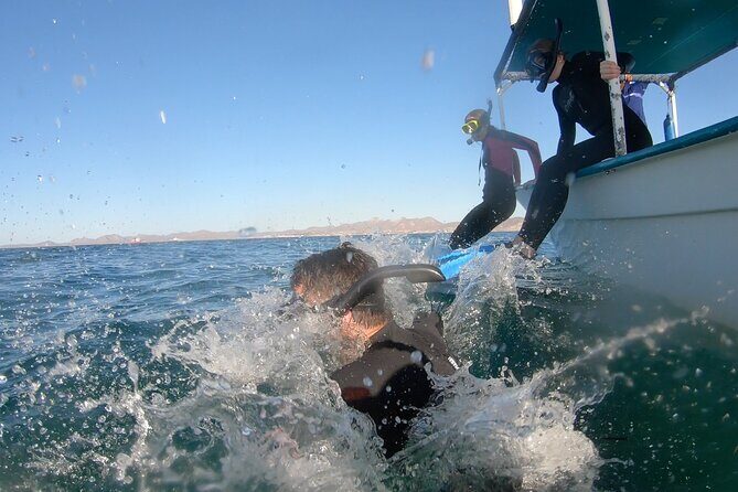 Whale Shark Swimming Adventure: Small Group with Marine Biologist - FAQ