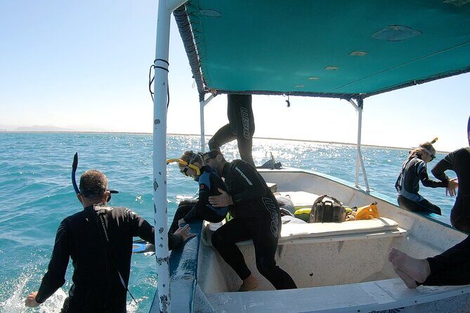 Whale Shark Swimming Adventure: Small Group with Marine Biologist - Short, Focused Snorkel Sessions: Keeping Up and Staying Safe