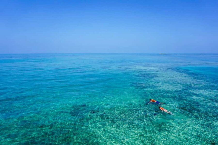 Whale Shark swimming ocean safari all included tour - In-Water Guidance: How Guides Make the Difference