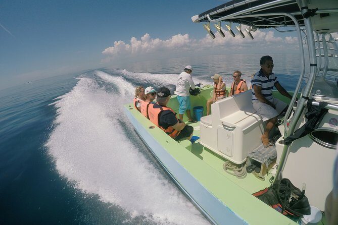 Whale Shark Tour from Cancun, Playa del Carmen, Tulum and Riviera Maya - The boat ride reality: sea conditions, Dramamine, and comfort hacks