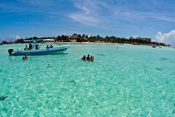 Whale Shark Tour from Cancun, Playa del Carmen, Tulum and Riviera Maya - Marine life bonus: turtles, dolphins, rays, and flying fish