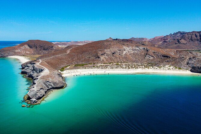 Whale sharks and sea lions snorkeling plus Balandra beach lunch - Quick take: what makes this tour work