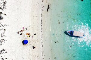 Whale sharks and sea lions snorkeling plus Balandra beach lunch - Meeting at Marina de La Paz: arrive early and bring layers