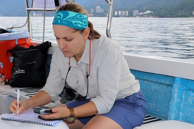 Whale Watching Adventure – Led by a Marine Biologist - What you can expect on the water: whales, dolphins, and the little surprises