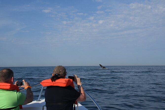 Whale Watching Adventure – Led by a Marine Biologist - Snacks, water, and what to bring for a 3.5-hour morning on the bay