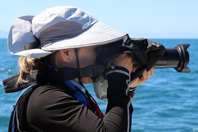 Whale Watching Adventure – Led by a Marine Biologist - Price and added fees: where the value really comes from