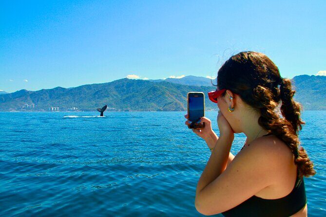 Whale Watching and Los Arcos 5 Islands Adventure - Key things I’d watch for on this whale + Los Arcos boat day