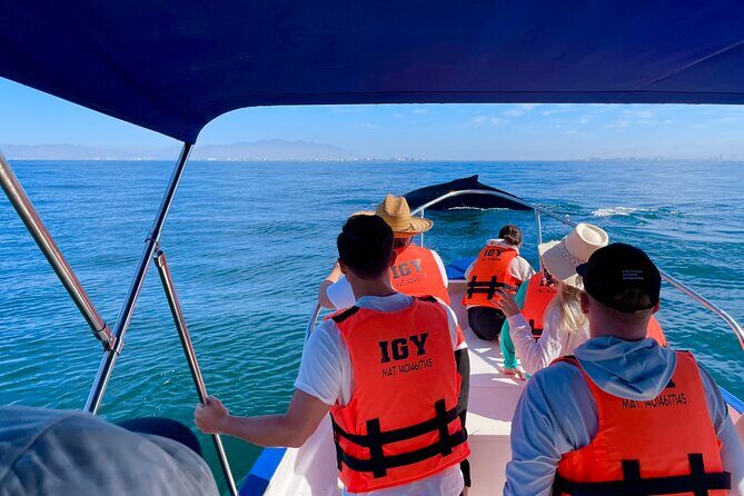 Whale Watching and Los Arcos 5 Islands Adventure - The Bay of Banderas whale watching window (where the action is)