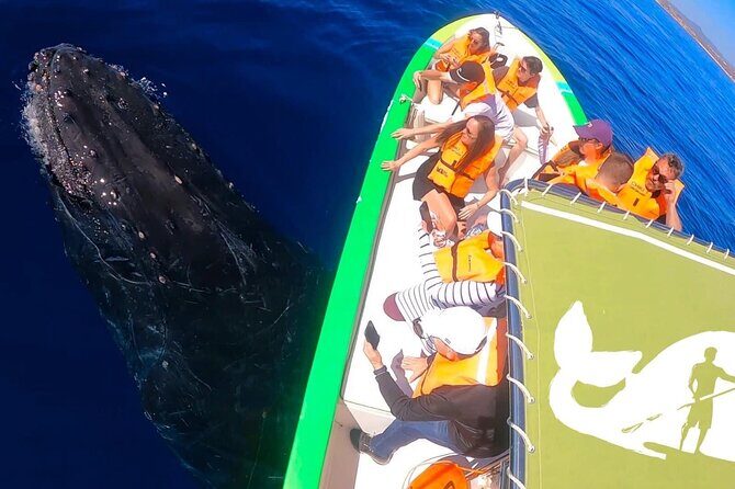Whale Watching Cabo-Women crew-Sightings Guaranteed & Free Photos - The Whale Warranty and Free Second Tour: A Real Safety Net