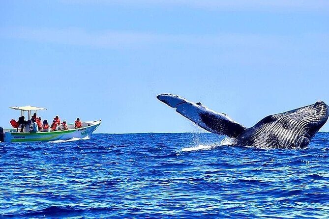 Whale Watching Cabo-Women crew-Sightings Guaranteed & Free Photos - Boat Ride Reality: Small Boat Comfort and What to Pack