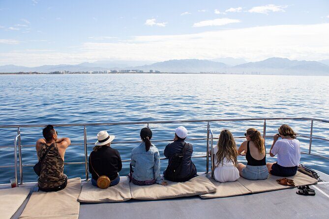 Whale Watching Cruise In Puerto Vallarta & Nuevo Vallarta - How to spot whales faster: what to watch for during surfacing