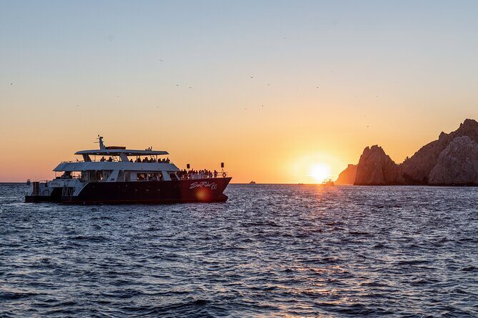 Whale Watching Dinner Cruise in Cabo San Lucas - Who Should Book This Whale Watching Dinner Cruise?