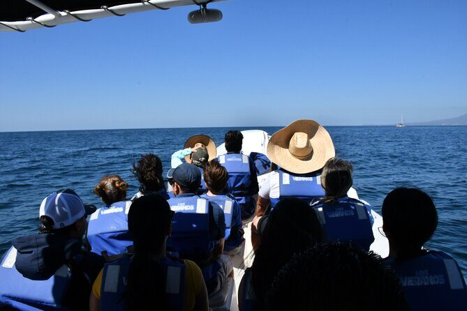 Whale Watching Guaranteed Experience in Puerto Vallarta - Guaranteed Whale Watching: What You Should Expect (and What You Should Not)