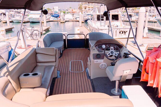 Whale Watching in Cabo San Lucas on board our Luxury Trimaran! - When whale spotting is likely (and when patience is the whole game)