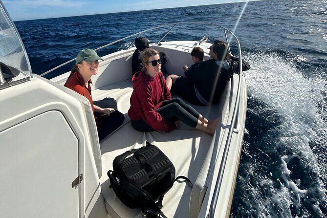 Whale Watching in San Jose del Cabo - Price and value: is $120 worth it here?