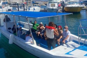 Whale Watching on a Glass Bottom Boat - Choosing the Best Departure Time for Seas That Behave