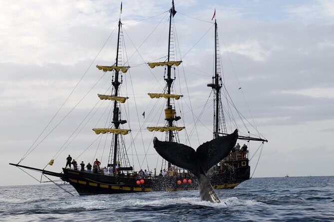 Whale-Watching Pirate Ship Cruise in Los Cabos - Getting on Board at La Terminal de CaboMarina (Plan for Smooth Check-In)