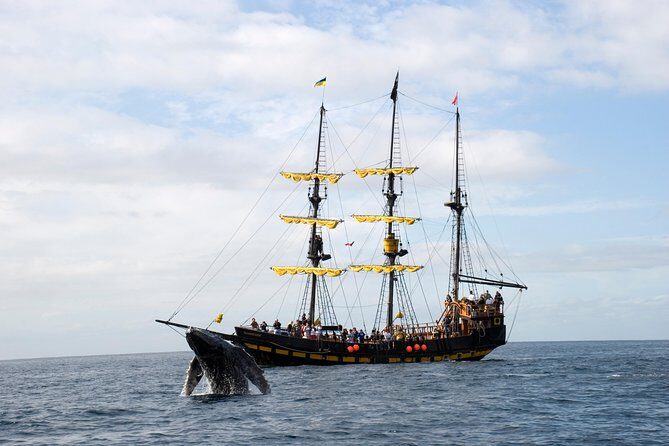 Whale-Watching Pirate Ship Cruise in Los Cabos - Who This Cruise Fits Best (And Who Might Want a Different Day Plan)