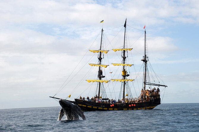 Whale-Watching Pirate Ship Cruise in Los Cabos - What Happens in the First Stretch: Pirate Intro, Coastal Landmarks, Then Out to Sea