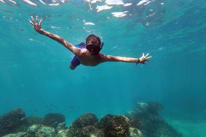 Whale Watching & Snorkeling Combo in Los Cabos with Photos Included - Key Highlights You Should Know Before You Go