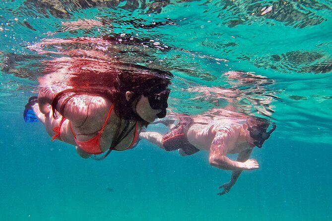 Whale Watching & Snorkeling Combo in Los Cabos with Photos Included - Why This Cabo Whale Watch + Snorkel Combo Works