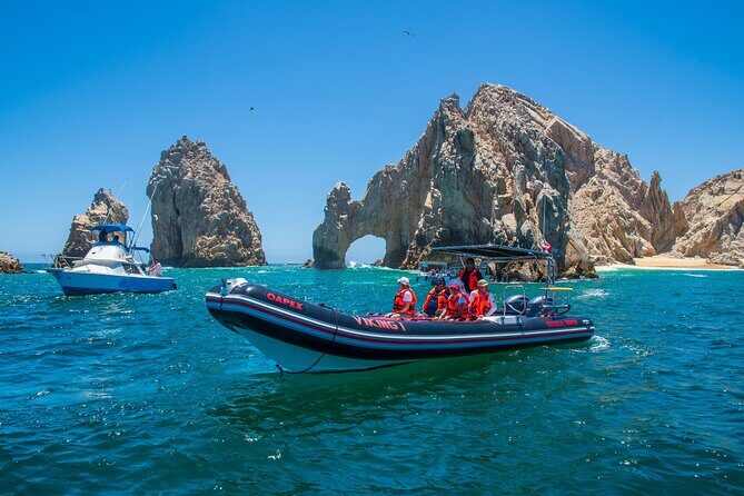 Whale Watching & Snorkeling Combo in Los Cabos with Photos Included - Who Should Book This Tour (and Who Might Want Another Option)