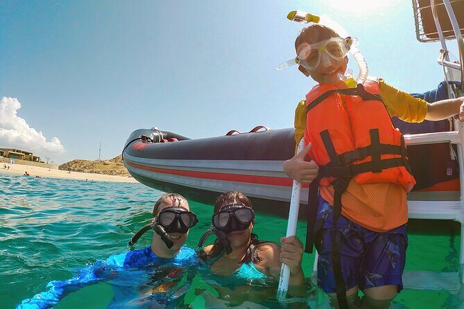 Whale Watching & Snorkeling Combo in Los Cabos with Photos Included - Getting to Baja Vikings Ecoventures at Marina Plaza (and What to Expect)