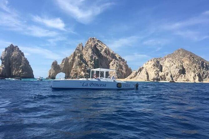 Whale Watching Tour in Los Cabos - Catamaran cruise with snacks, drinks, and a lively vibe