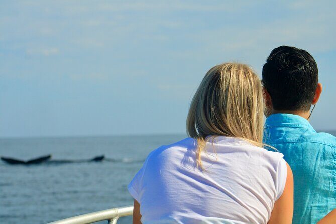 Whale Watching Warranty in San José del Cabo Snacks and drinks - Calm Sea of Cortez views: why the timing and route feel good