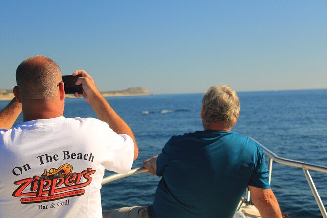 Whale Watching Warranty in San José del Cabo Snacks and drinks - Value check: who this tour fits best