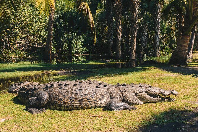 Wildlife Eco Tour on the coast of Oaxaca. - Key highlights worth planning for