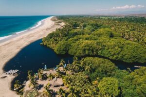 Wildlife Eco Tour on the coast of Oaxaca. - The mangrove boat ride: crocodiles, iguanas, and serious bird-spotting