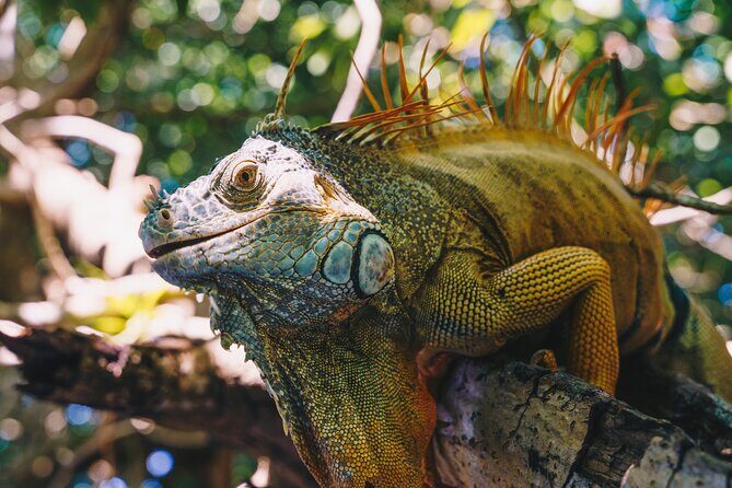 Wildlife Eco Tour on the coast of Oaxaca. - Zipolite: short beach time to reset, not to take over the schedule