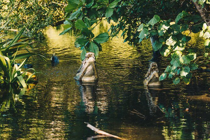 Wildlife Eco Tour on the coast of Oaxaca. - Puerto Ángel: optional seaside lunch plus a swim window