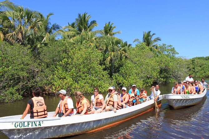 Wildlife Eco Tour on the coast of Oaxaca. - Santa Cruz Huatulco road segment: learning how coastal farming really works