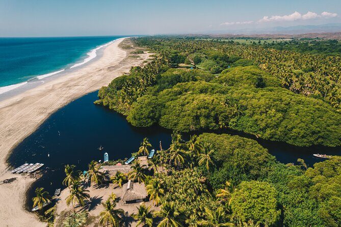 Wildlife Eco Tour on the coast of Oaxaca. - The mangrove boat ride: crocodiles, iguanas, and serious bird-spotting