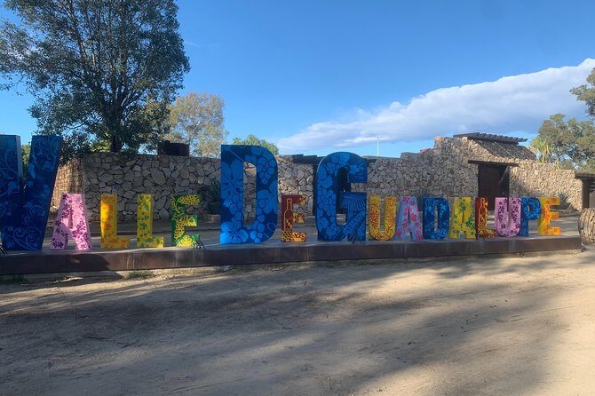 Wine tasting Valle de Guadalupe & Casa Frida - Key things to know before you go